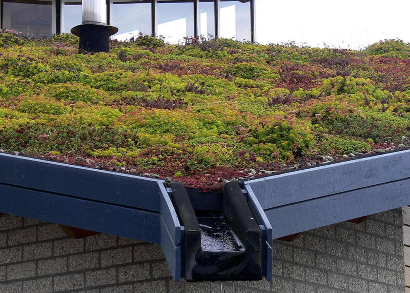 Green-Roof-Spain