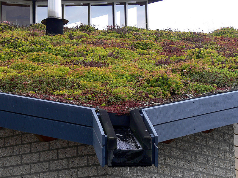 Green-Roof-Spain